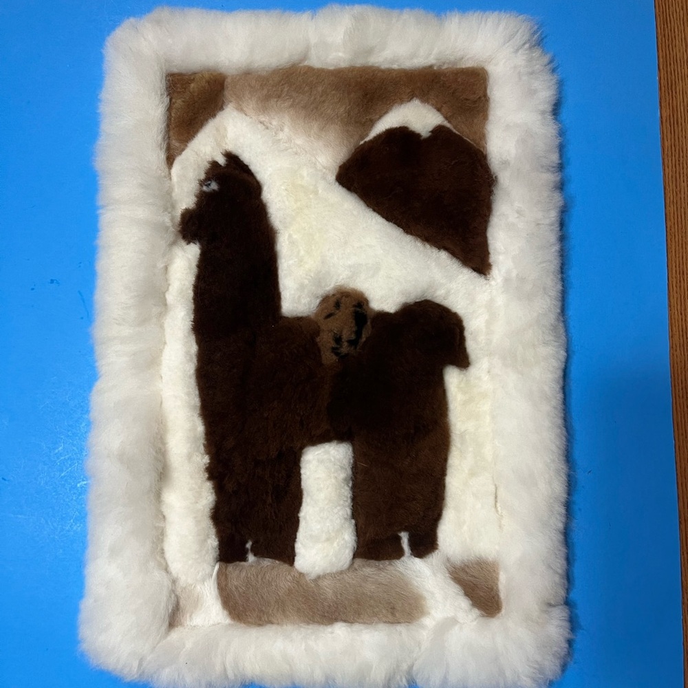 Alpaca Wool Rug from Peru - Picture 3 of 8